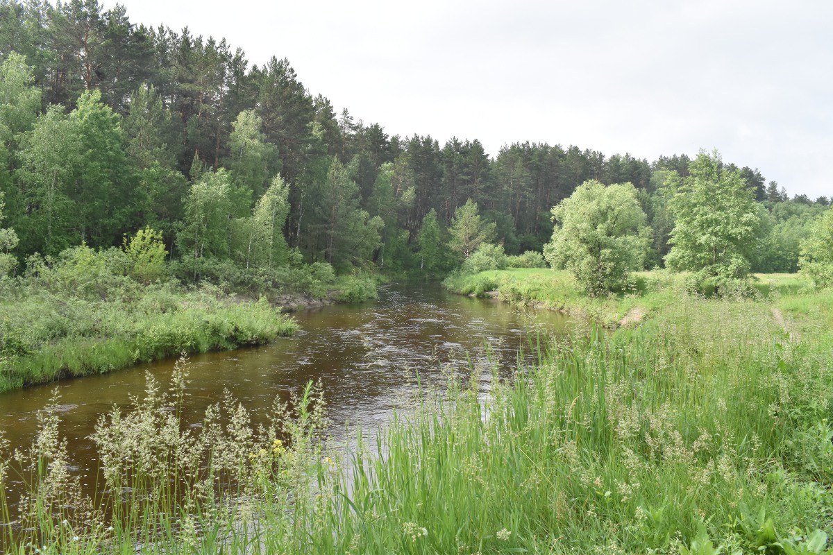 Река